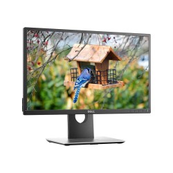 LCD Dell P2017h 20" 16:9 - Grado A