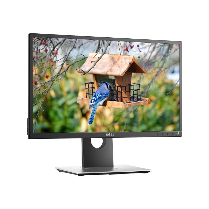 LCD Dell P2017h 20" 16:9 - Grado B